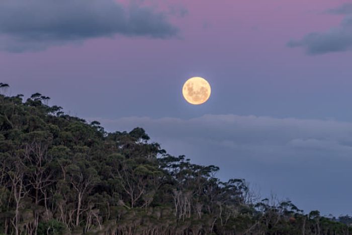 moon in night sky