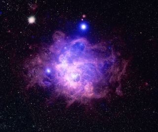 This image combines data from the Chandra X-Ray Observatory in blue and from the Hubble Space Telescope in purple of a star-forming region called NGC 604.