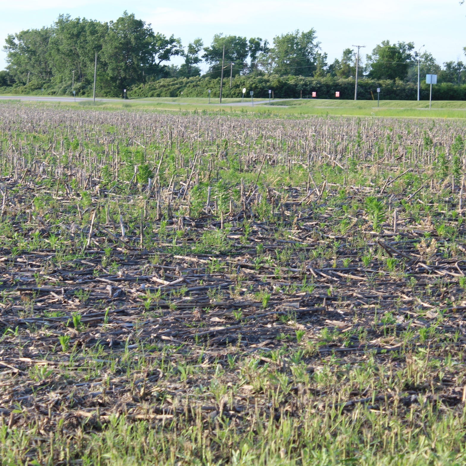 Ottawa County farmers to get USDA disaster relief