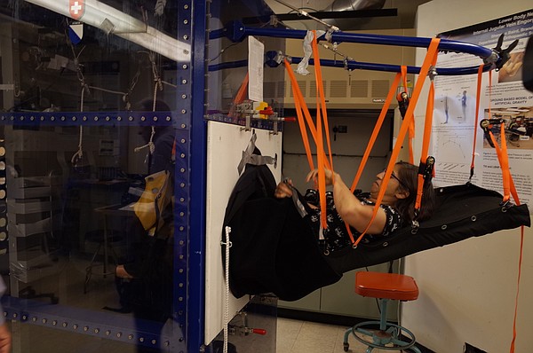 UCSD researcher Brinda Hargens gets strapped into an exer...