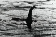 loch ness scottish nessie lake monster theory dna proof plausible