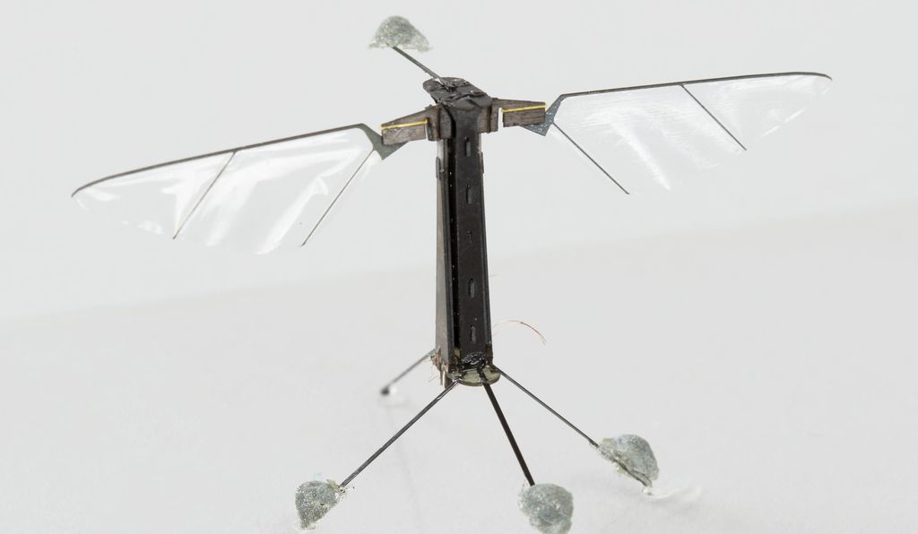 An artificial Robobee, the size of a honeybee, is powered by solar cells and has the potential, like a mini-drone, to aid in search-and-rescue missions, to do environmental mentoring and to pollinate flowers.