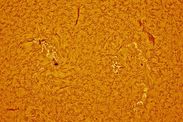 Space weather sunspots Sun solar storm solar flares ESA NOAA space news