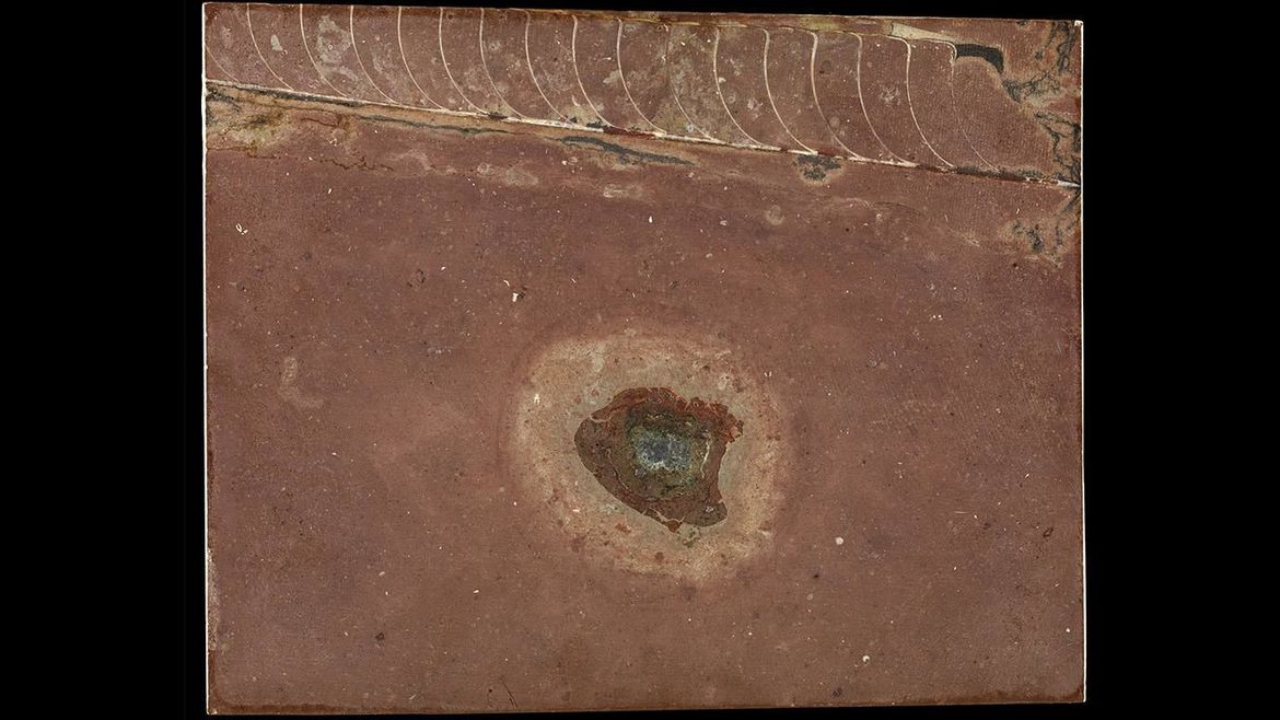 An ancient meteorite from the asteroid breakup (center) appears in a layer of rock laid down more than 460 million years ago. The fossil above it is a nautiloid, a marine animal that may have benefited from the asteroid collision. Credit: Field Museum, Jo