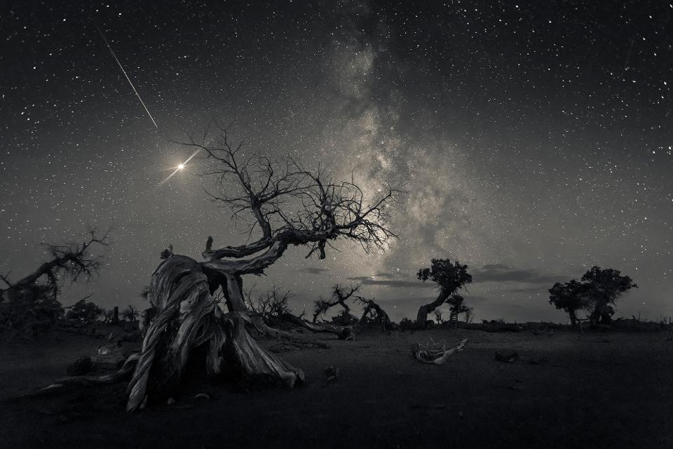 Across the Sky of History © Wang Zheng (China) - WINNER