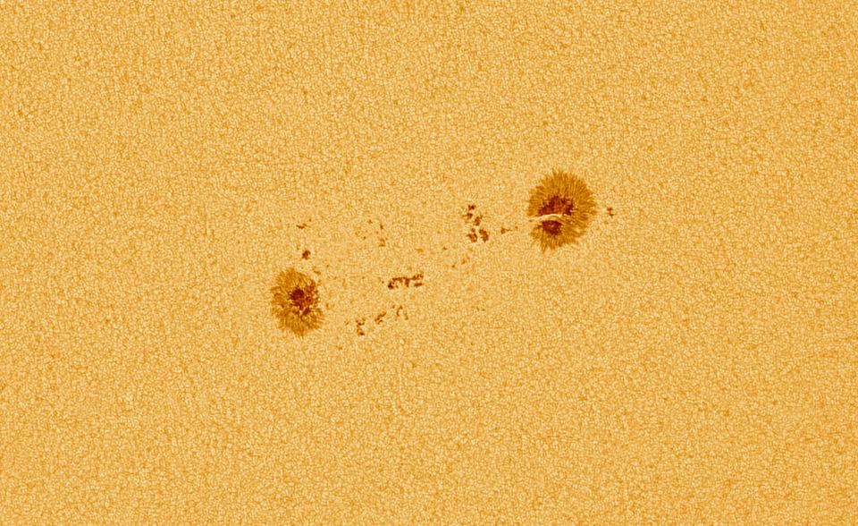 AR 12699 Sunspot © Matúš Motlo (Slovakia), aged 14 - RUNNER-UP 