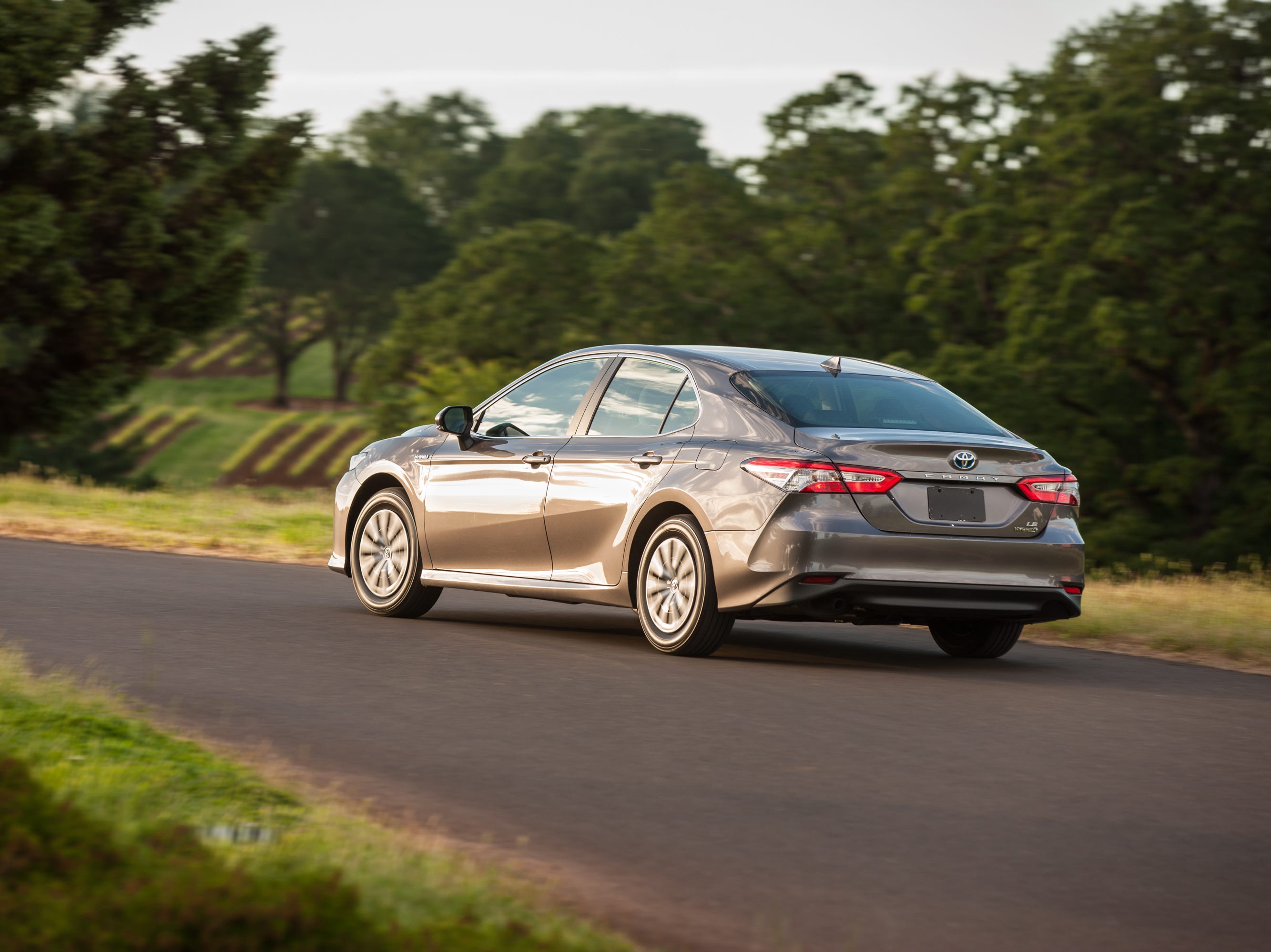 2019 Toyota Camry Hybrid 