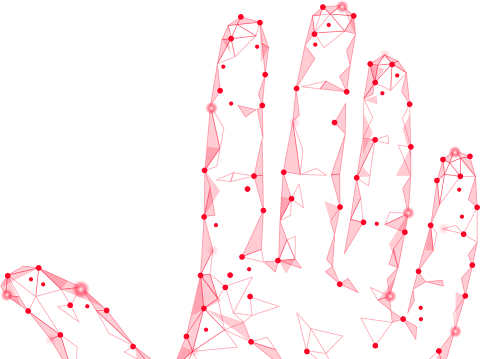 A diagram of vein pattern points in a hand