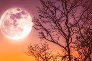 Full Moon rare Harvest Moon Friday 13th what does Full Moon mean September Full Moon