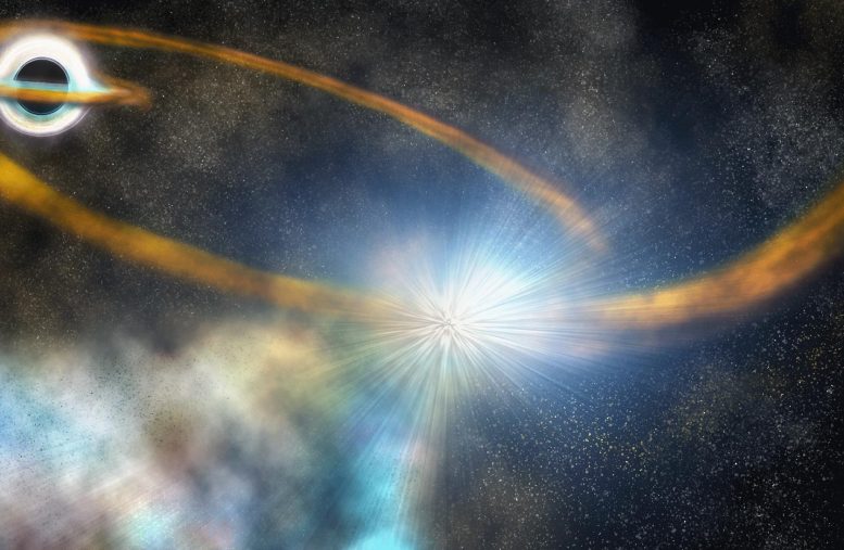 Star Shredded by Black Hole