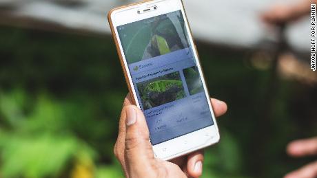 Plantix uses artificial intelligence to help farmers treat diseased crops.