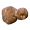 Kuiper Belt