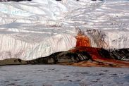 antarctica breakthrough blood falls mystery solved south pole below ice spt