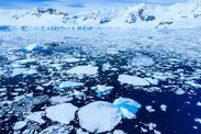 Climate change news Arctic ice disappear global warming human blame study UCLA