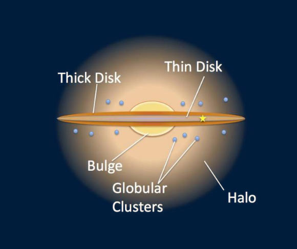 An artist’s impression of the Milky Way Galaxy, showing the thick and thin disks. Image credit: NASA / JPL Caltech / R.Hurt / SSC.