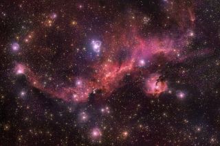 Flying through the cosmos some 3,400 light-years away from Earth is a bird-shaped cloud of dust and gas known as the Seagull Nebula, or Sharpless 2-296. The European Southern Observatory's VLT Survey Telescope at the Paranal Observatory in Chile captured this new view of the cosmic seagull, which is rich with new star formation.