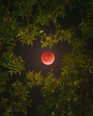 Total Lunar Eclipse 2019