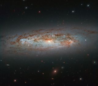 Scientists used images captured by the Hubble Space Telescope's Wide Field Camera 3 to piece together this portrait of a galaxy called NGC 3175.