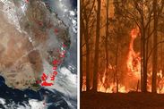 Australia fires NASA satellite pictures NSW wildfires New South Wales fires map