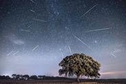 quadrantids meteor shower 2020 uk how to watch first shooting stars of year