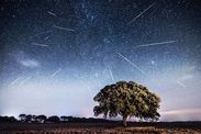 Meteor shower 2020 Quadrantids January first meteor shower new year peak