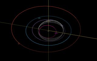 Notice how the orbit (gray) of the newly discovered 2020 AV2 asteroid is closer to the sun than Venus' orbit (purple) is.