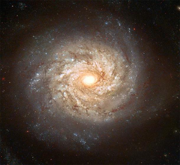 Spiral Galaxy NGC 3982 displays numerous spiral arms filled with bright stars, blue star clusters, and dark dust lanes. (BevinKacon / Public Domain)