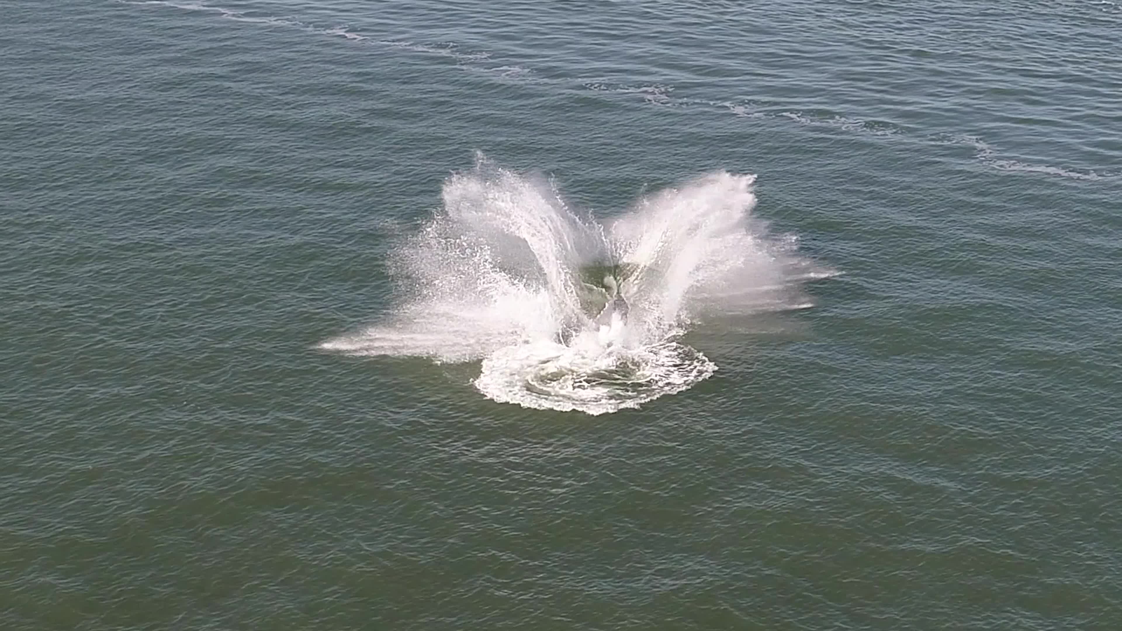 Thumbnail for the video titled "Amazing drone video of humpback whale off VB (Courtesy: Tom Turley)"