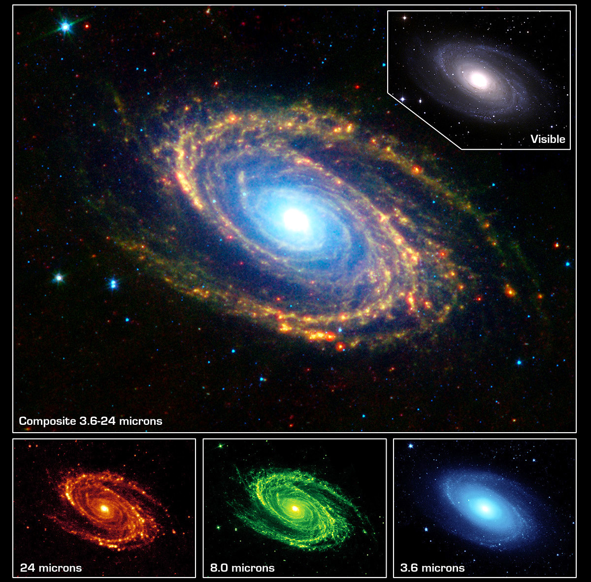 M81