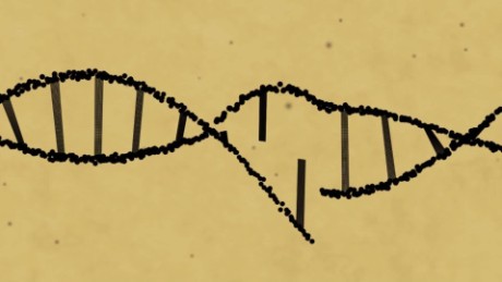 Scientists edit heart muscle gene in stem cells, may be able to predict risk