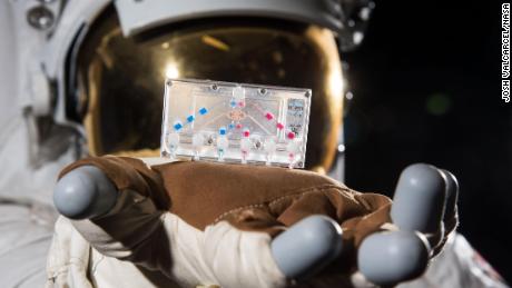 Tissue chips have been flown on the space station before.