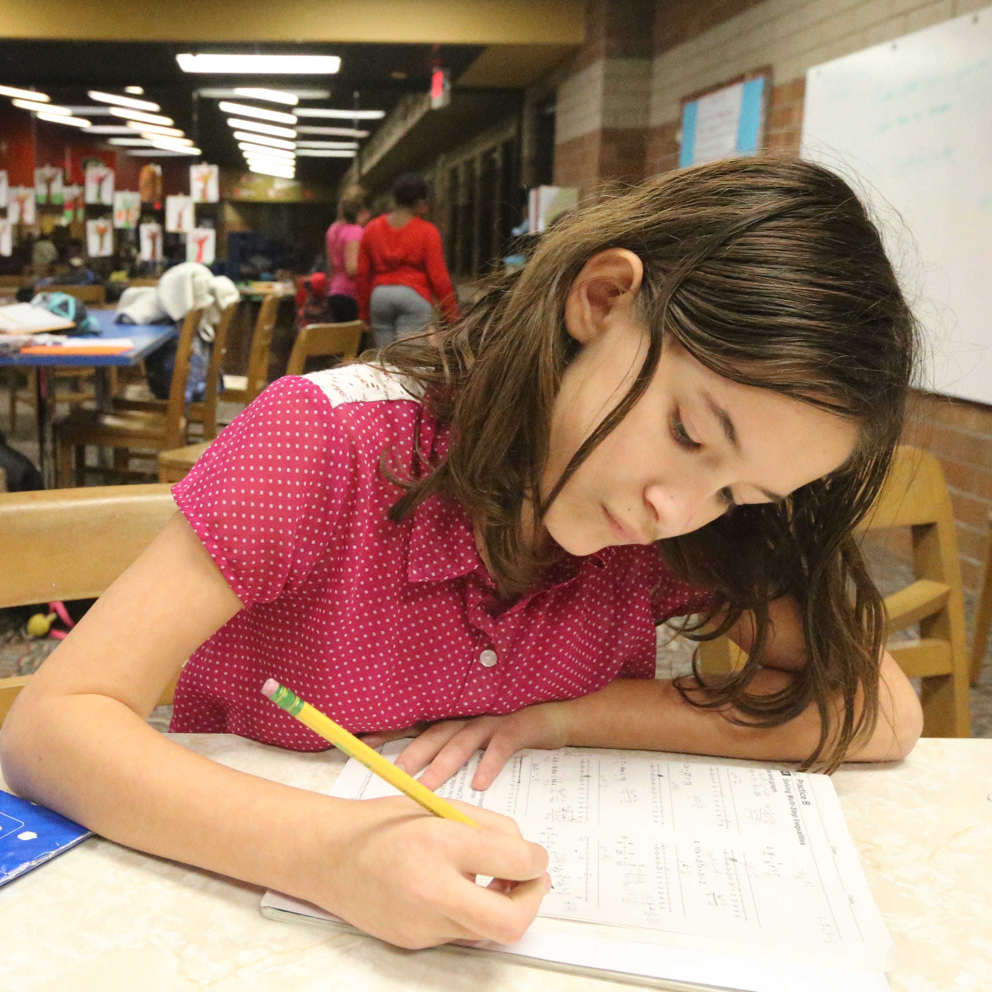 Rutherford County Schools says while schools are out of session due to the spread of the coronavirus, students will receive optional lessons to stay on track.