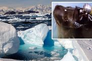 antarctica seal camera under ice mcmurdo climate change spt