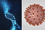 Coronavirus symptoms COVID19 susceptibility genetic transmission latest coronavirus news