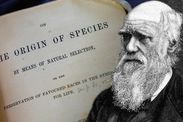 Darwin theory of evolution proof study confirms Charles Darwin theory subspecies