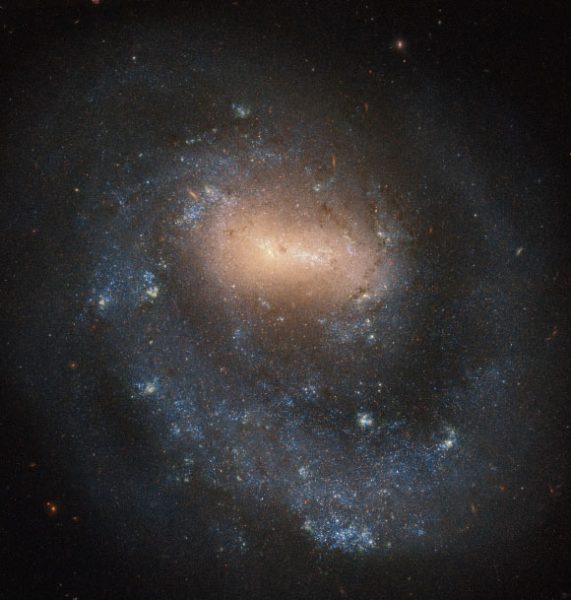 NGC 4618: Hubble Spots Spiral Galaxy with Single Arm | Astronomy – Sci-News.com