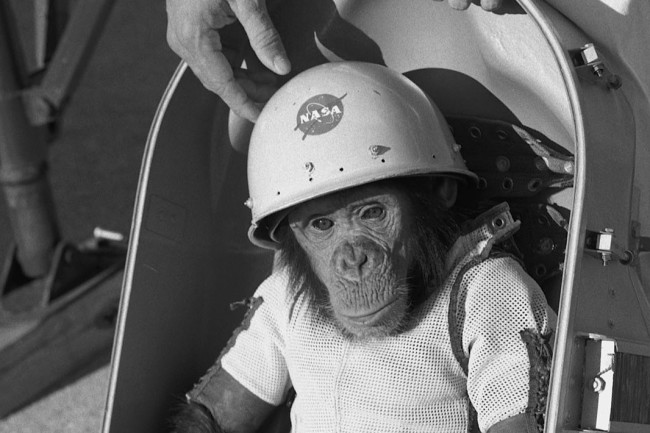 ham the chimp in space suit - NASA