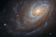 nasa news cannibal galaxy photograph hubble space telescope