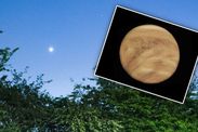 Venus in the sky tonight is Venus visible now how to spot Venus UK