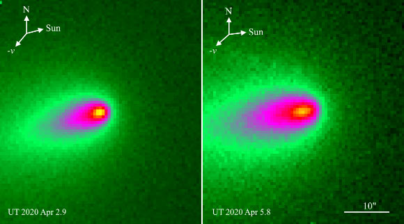 These images of C/2019 Y4 (ATLAS) were captured on April 2 and 5, 2020. Image credit: Quanzhi Ye & Qicheng Zhang.