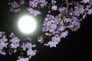 pink moon spiritual meaning supermoon April 2020 lunar cycle