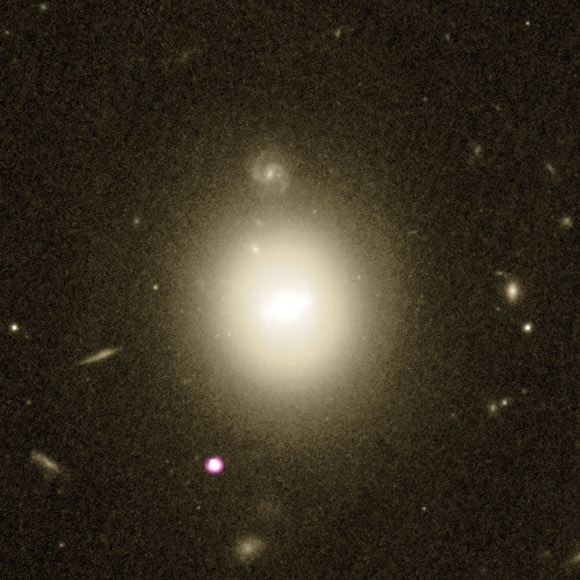 This image shows data from the NASA/ESA Hubble Space Telescope (yellow-white) and NASA’s Chandra X-ray Observatory (purple); the purple-white source in the lower left shows X-ray emission from the remains of a star that was ripped apart as it fell towards an intermediate mass black hole; the host galaxy of the black hole is located in the middle of the image. Image credit: X-ray – NASA / CXC / UNH / D. Lin et al; optical – NASA / ESA / STScI.