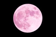 Supermoon live stream how to watch Pink Supermoon online tonight