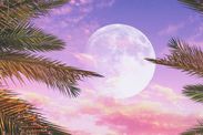 Pink Moon meaning April Full Moon meaning behind name