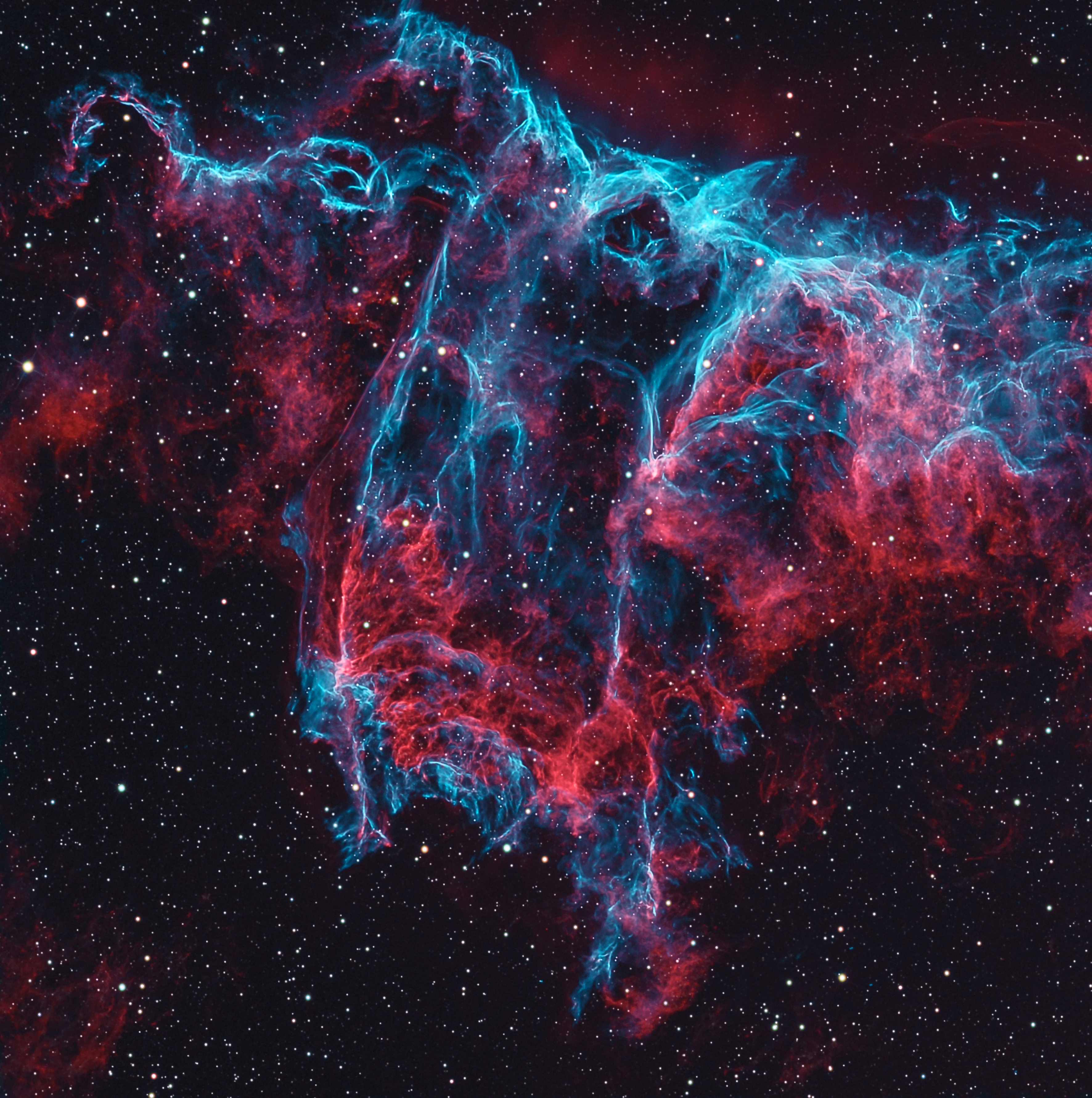 This nebula looks a lot like a bat