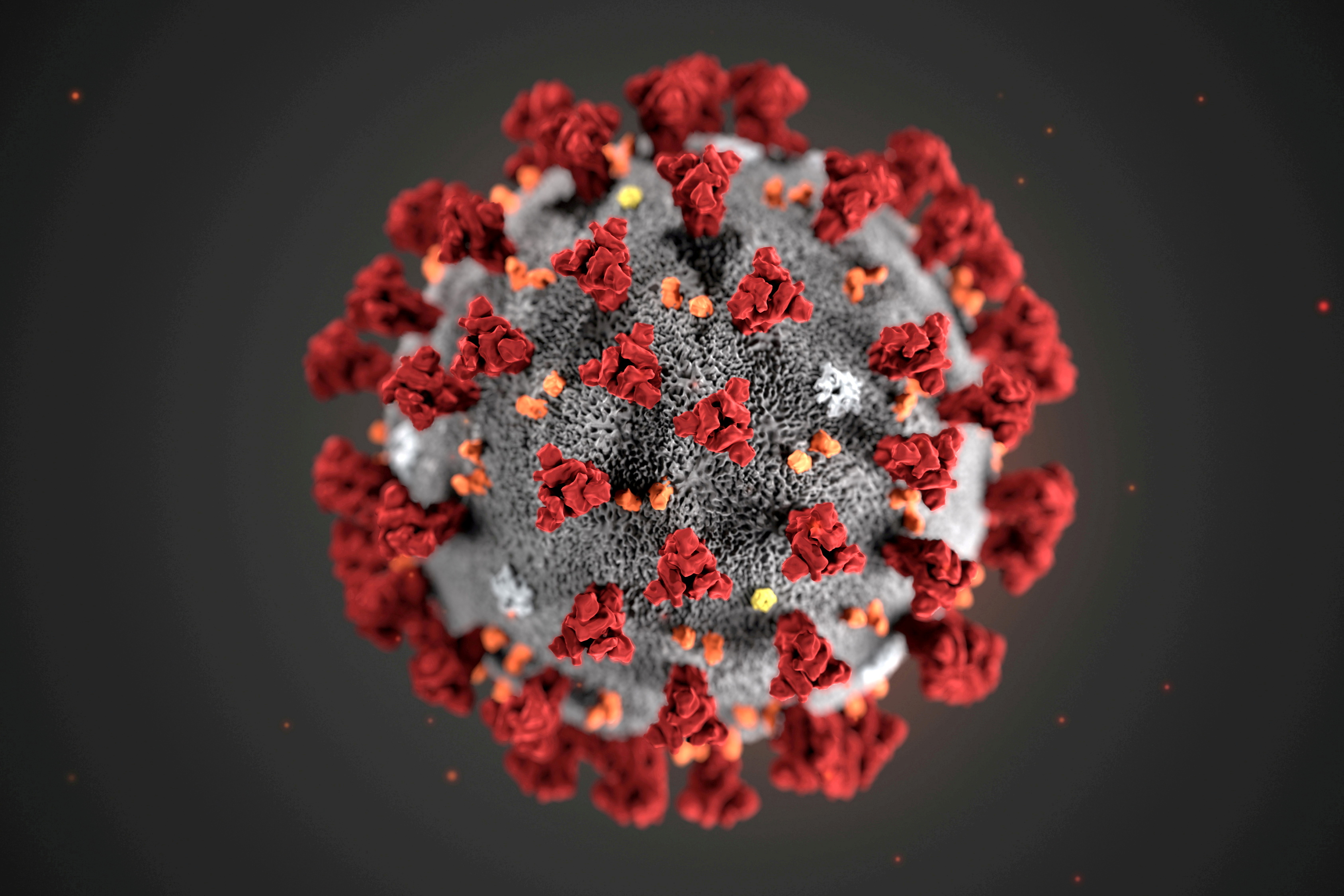 The ultrastructural morphology exhibited by the 2019 Novel Coronavirus (2019-nCoV), which was identified as the cause of an outbreak of respiratory illness first detected in Wuhan, China, is seen in an illustration released by the Centers for Disease Control and Prevention (CDC) in Atlanta, Georgia, U.S. January 29, 2020. Alissa Eckert, MS; Dan Higgins, MAM/CDC/Handout via REUTERS./File Photo