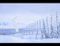 A wintery landscape, where the HAARP facility is blanketed with snow. 