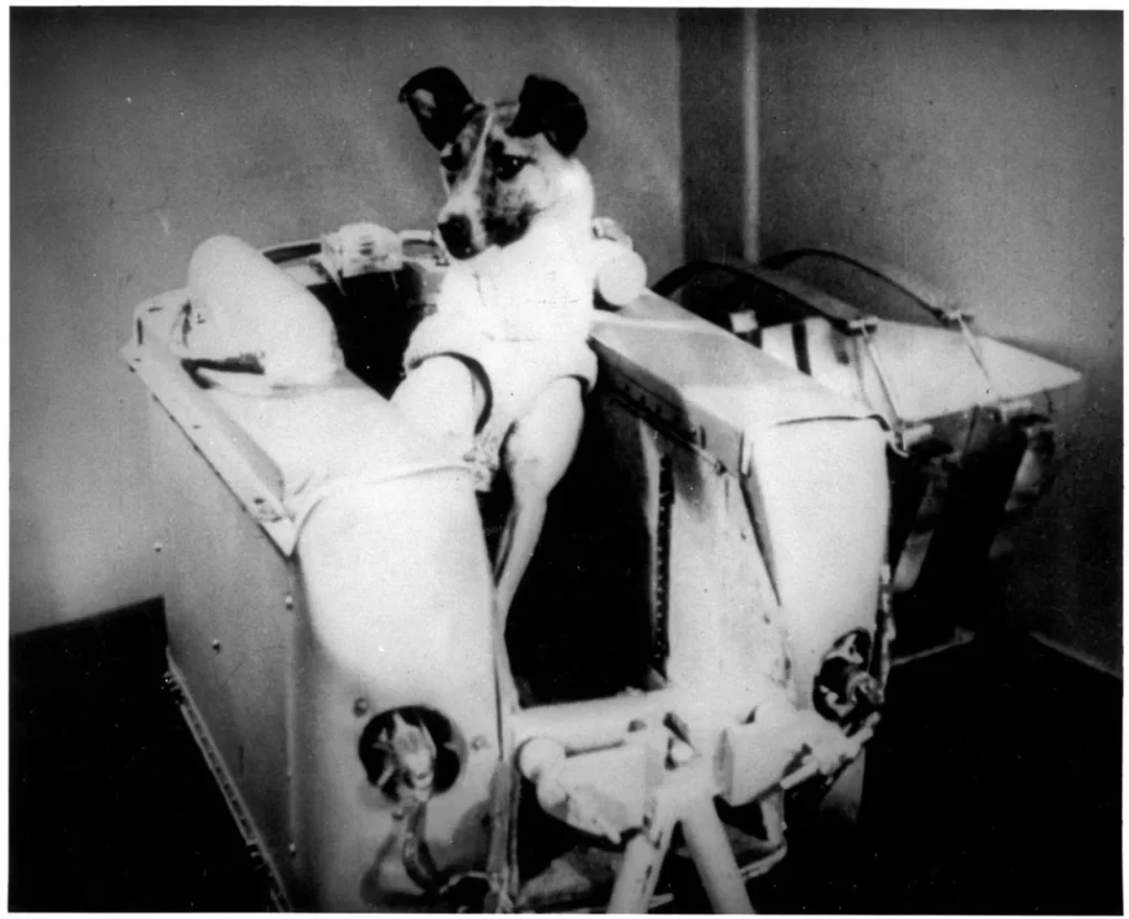 Laika first dog in space