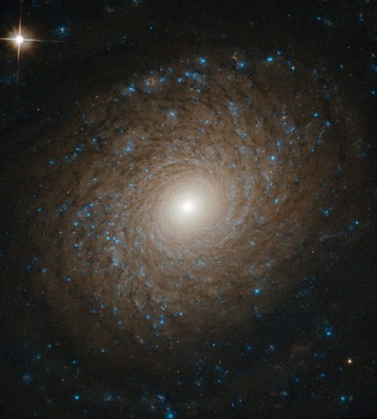 Hubble spots a picture-perfect spiral galaxy in Ursa Major – Astronomy ...