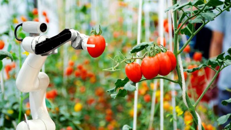 3 Ways Technology Is Changing the Food-Growing Industry – CT Post